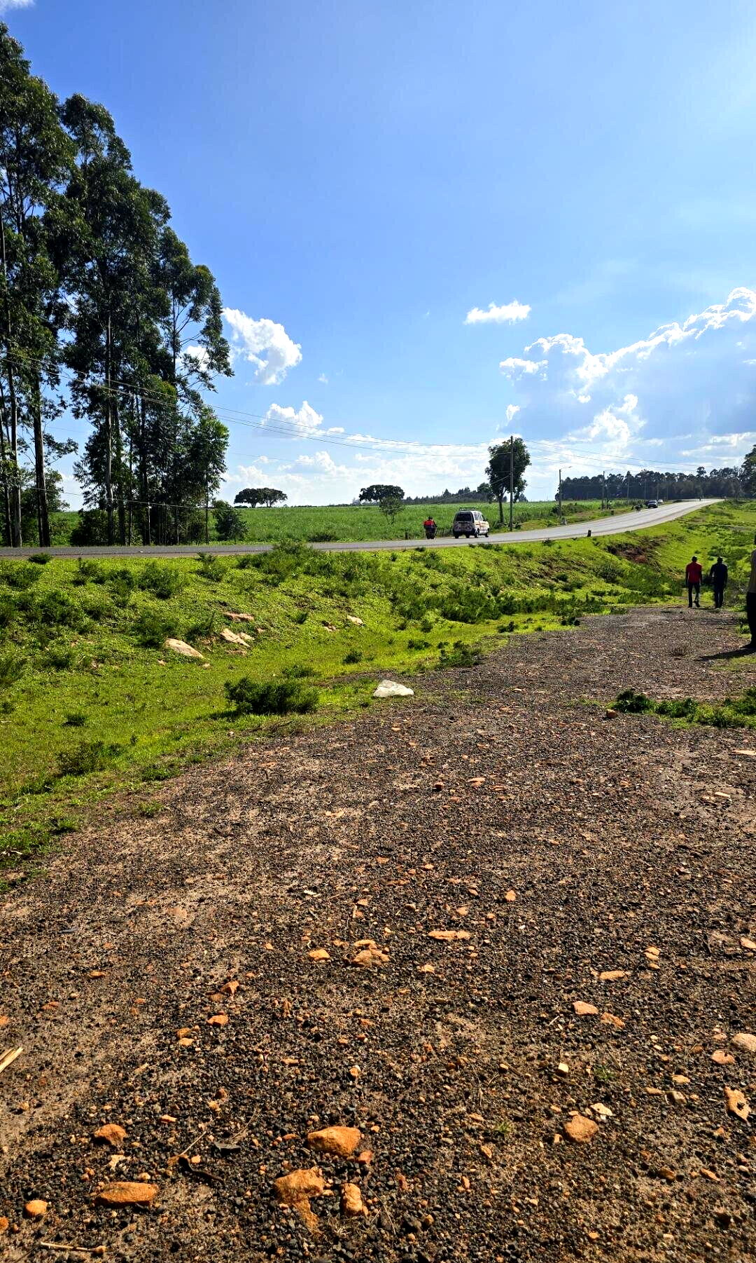 2-Acre Plot with Garden on Kitale-Webuye Highway