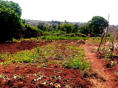 Vacant 0.5 Acre Plot for Sale in Thome - Image 3