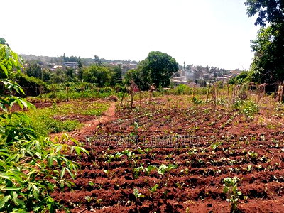 Vacant 0.5 Acre Plot for Sale in Thome - Image 5