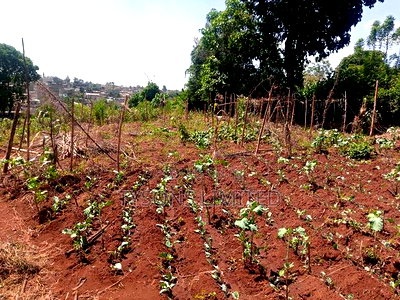 Vacant 0.5 Acre Plot for Sale in Thome - Image 4