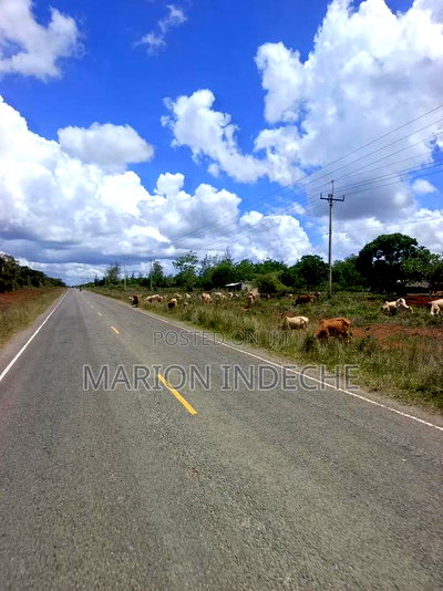Own Land Affordable Farm Land in Malindi~Chakama - Image 1