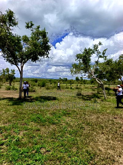 Own Land Affordable Farm Land in Malindi~Chakama - Image 3