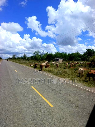 Own Land Affordable Farm Land in Malindi~Chakama - Image 11