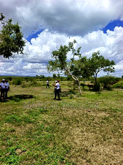 Own Land Affordable Farm Land in Malindi~Chakama - Image 7