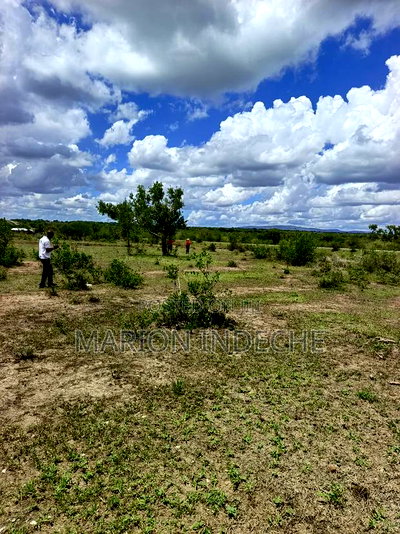 Own Land Affordable Farm Land in Malindi~Chakama - Image 8