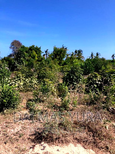 1acre Land in Watamu - Image 2