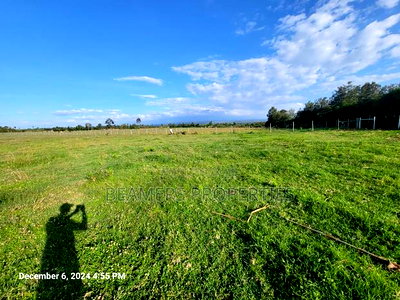 Nanyuki 50by100 Plots for Sale - Image 1