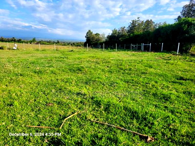 Nanyuki 50by100 Plots for Sale - Image 3