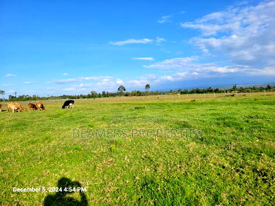 Nanyuki 50by100 Plots for Sale - Image 2