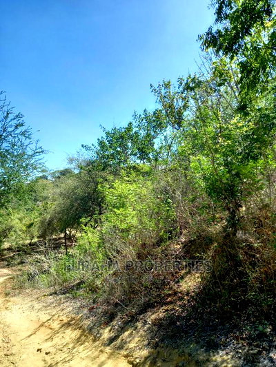 For Sale Quater Acre Several Creek Plots Mtwapa. - Image 5