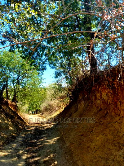 For Sale Quater Acre Several Creek Plots Mtwapa. - Image 4