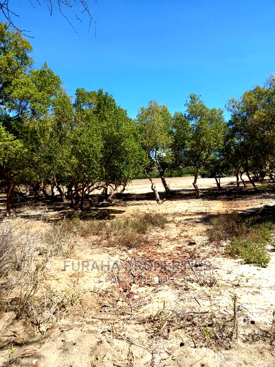 For Sale Quater Acre Several Creek Plots Mtwapa. - Image 3