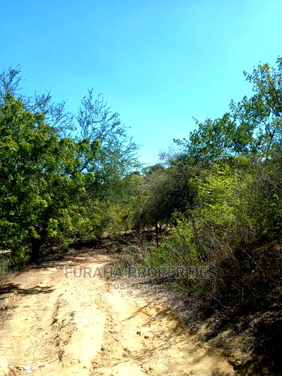 For Sale Quater Acre Several Creek Plots Mtwapa. - Image 6