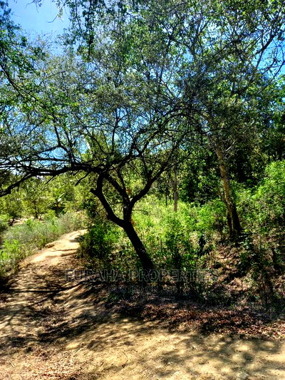 For Sale Quater Acre Several Creek Plots Mtwapa. - Image 7