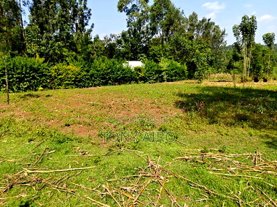 Land on Sale in Rongo - Image 4