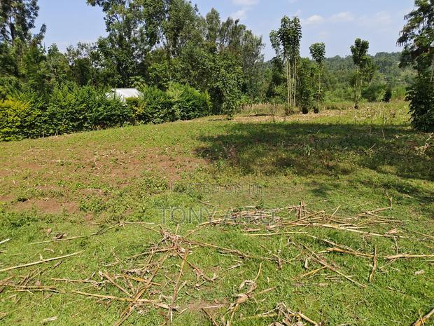 Land on Sale in Rongo