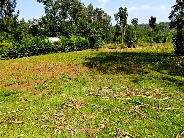 Land on Sale in Rongo