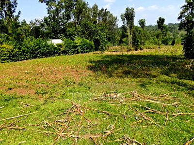 Land on Sale in Rongo - Image 1