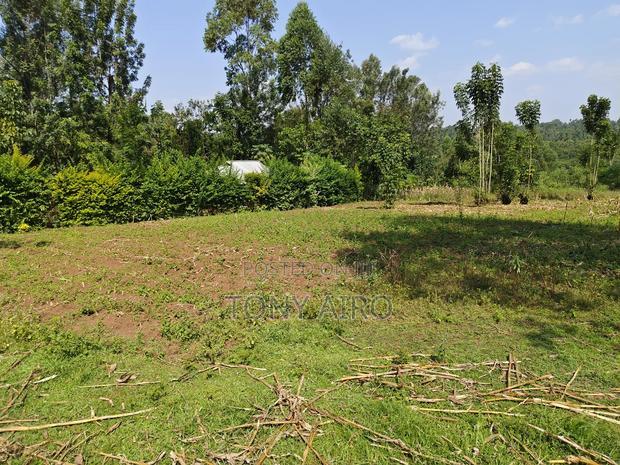 Land on Sale in Rongo