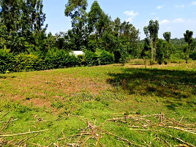 Land on Sale in Rongo - Image 2