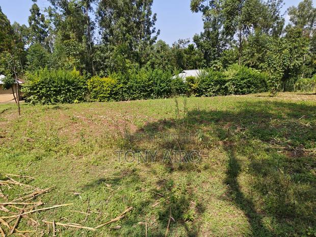 Land on Sale in Rongo