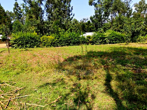 Land on Sale in Rongo