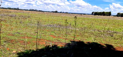 Prime Plots for Sale in Kuinet Touching Tarmac in Eldoret - Image 2