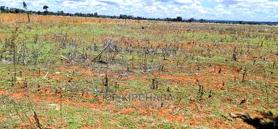 Prime Plots for Sale in Kuinet Touching Tarmac in Eldoret - Image 3