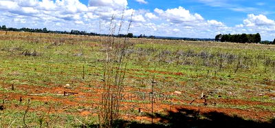 Prime Plots for Sale in Kuinet Touching Tarmac in Eldoret - Image 1
