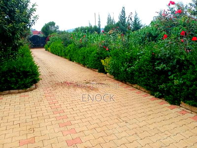 3bdrm Bungalow in Silas, Kapsoya for sale - Image 3