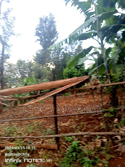 Clean Freehold Title Deed - Image 3