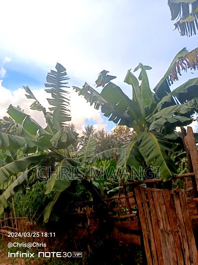 Clean Freehold Title Deed - Image 6