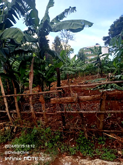 Clean Freehold Title Deed - Image 8