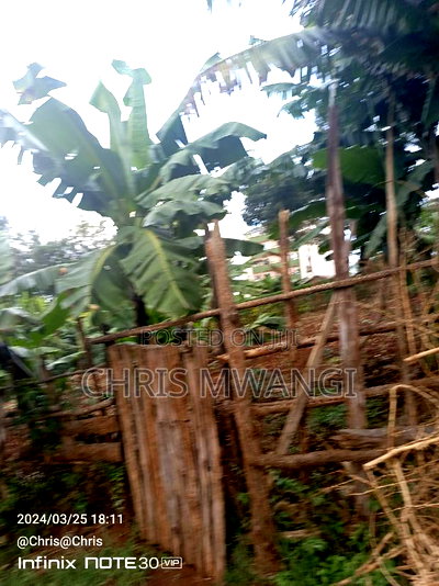 Clean Freehold Title Deed - Image 9