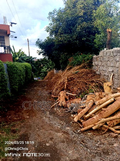 Clean Freehold Title Deed - Image 7