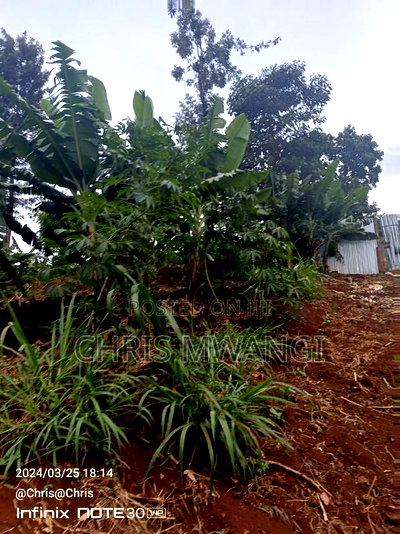 Clean Freehold Title Deed - Image 2