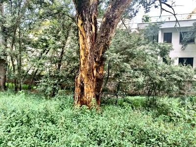2.2 Acres in Lavington Nairobi - Image 8