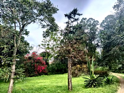 2.2 Acres in Lavington Nairobi - Image 4