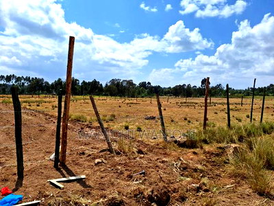 Magnificent Properties - Image 2