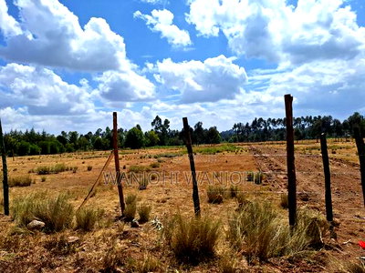 Magnificent Properties - Image 4