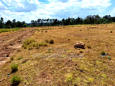 Magnificent Properties - Image 5