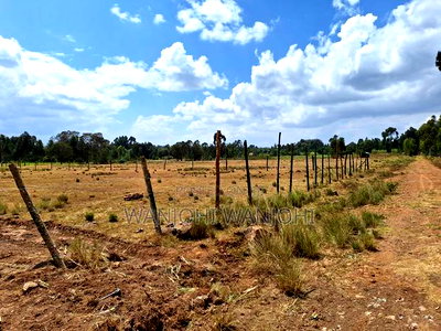 Magnificent Properties - Image 3
