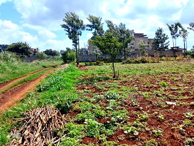 Two 40x80 Plots at Kiora Estate - Image 4