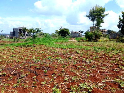 Two 40x80 Plots at Kiora Estate - Image 8