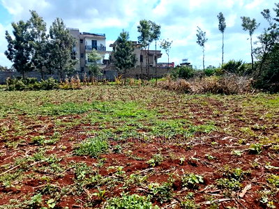 Two 40x80 Plots at Kiora Estate - Image 6