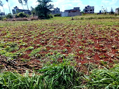 Two 40x80 Plots at Kiora Estate - Image 2