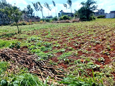 Two 40x80 Plots at Kiora Estate - Image 3