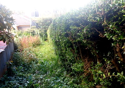 Quarter Acre in Karen at 20M