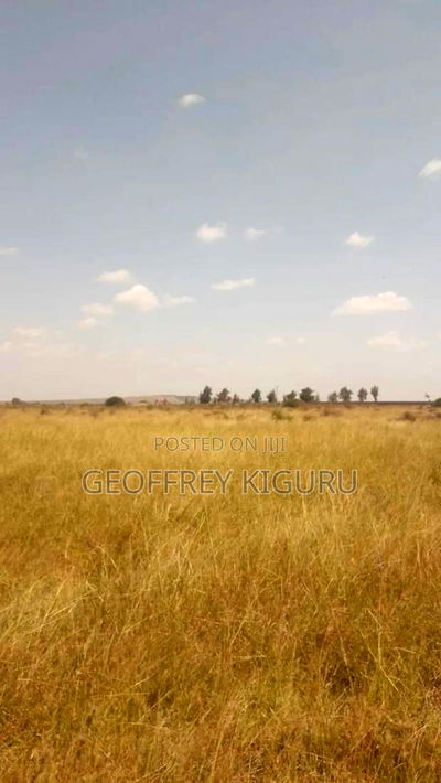 Affordable Quarter Acre Plots for Sale - Image 3