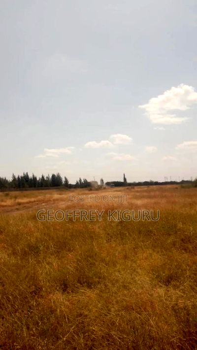 Affordable Quarter Acre Plots for Sale - Image 2